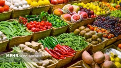 ترخیص محصولات تراریخته منوط به اعلام نظر جهاد کشاورزی شد