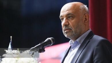 میدری: همکاری‌های مهارتی و بیمه‌ای ایران و ارمنستان گسترش می یابد