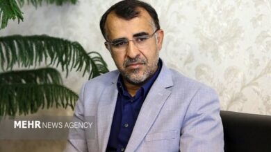 سیاست‌های حمایتی در بازار سرمایه با تأخیر اجرا شد