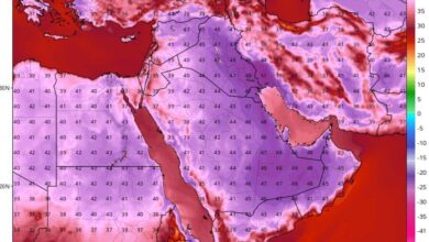 هشدار گرمای شدید؛ احتمال تخریب محصولات کشاورزی و گرمازدگی